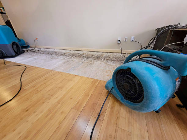 Professional Flood Damage Cleanup technician working in North Adams, MI